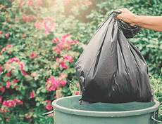 Biodegradable Trash Bin