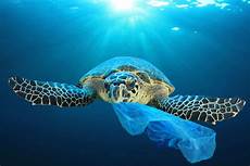 Plastic Bag Biodegradable