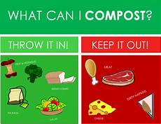 Compostable Trash Bags