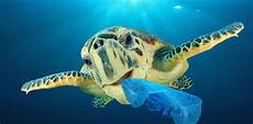 Ocean Plastic Bags