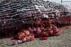 Ocean Plastic Bags