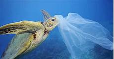 Plastic Bag Amazon