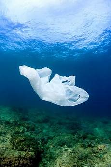 Plastic Bag Food