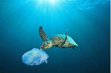 Plastic Bags Ocean