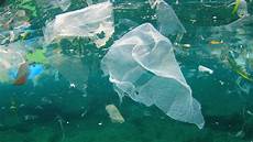 Plastic Bags Ocean