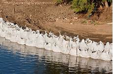 Sandbags For Rain